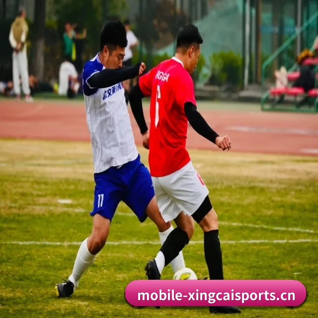 五大体育板块覆盖,从比分到直播全覆盖 - 多运动项目内容板块