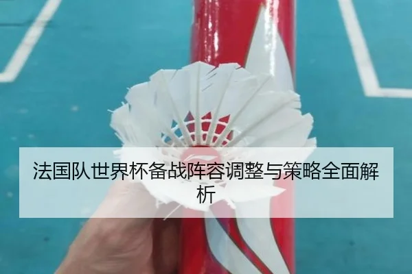 法国队世界杯备战阵容调整与策略全面解析