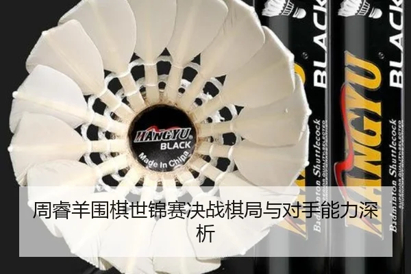 周睿羊围棋世锦赛决战棋局与对手能力深析